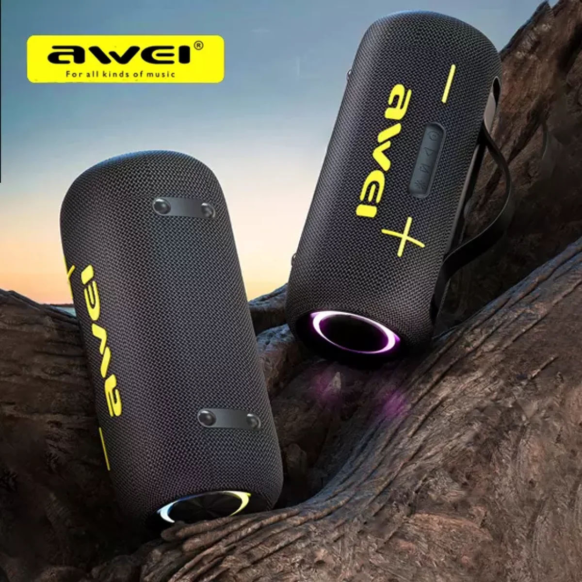 Awei KA10 60W Wireless RGB Outdoor Speaker